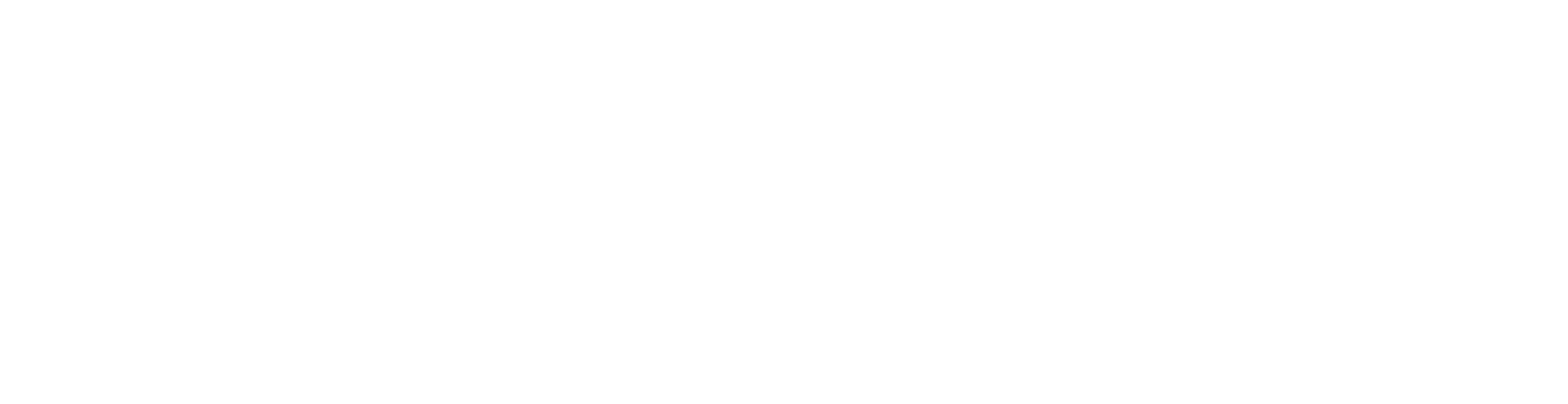 Preferred Networks